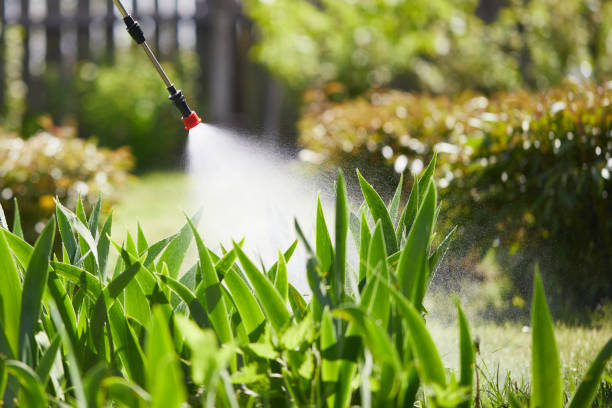 24/7 Emergency Mosquito Control experts in Ellington, MO